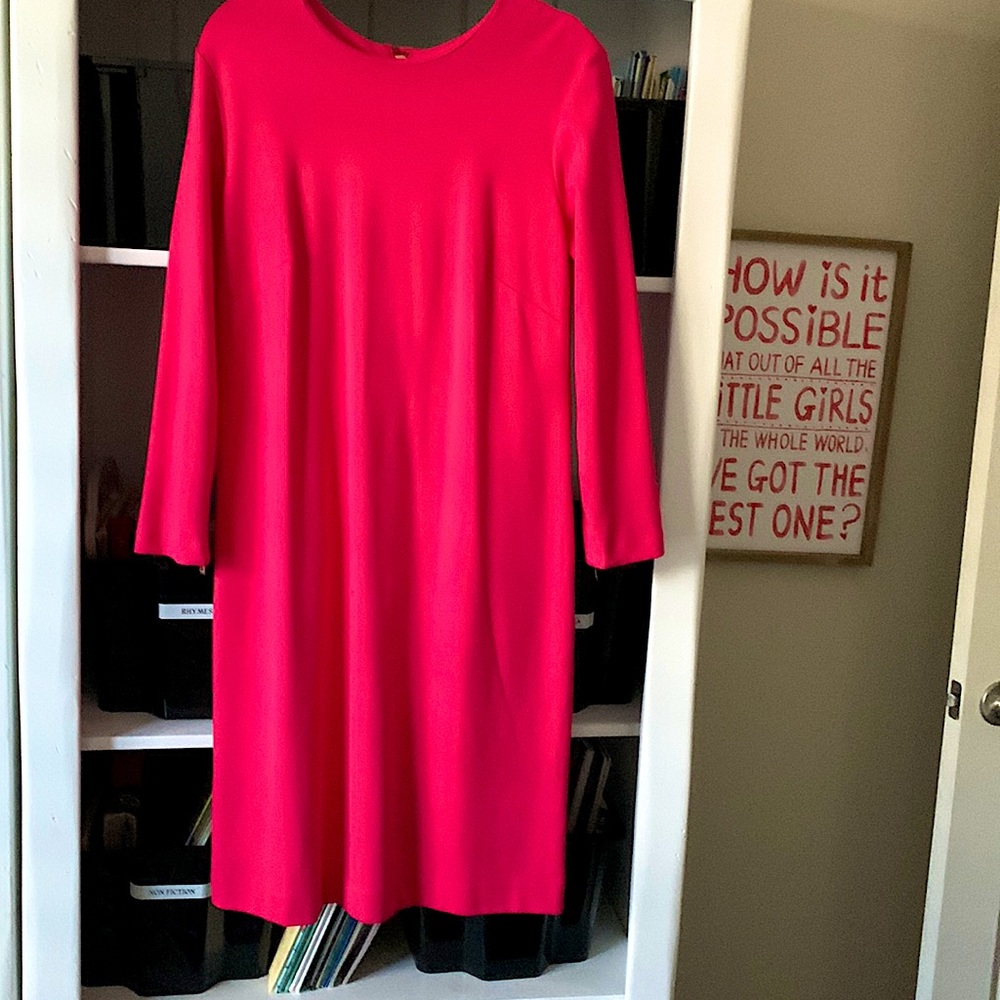 Ann Taylor dress spandex dry clean never worn casual and can be dressed up
